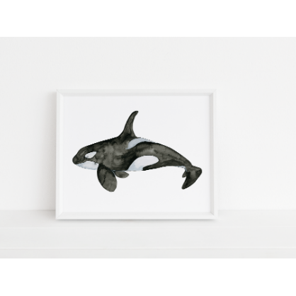 Orca Art Print