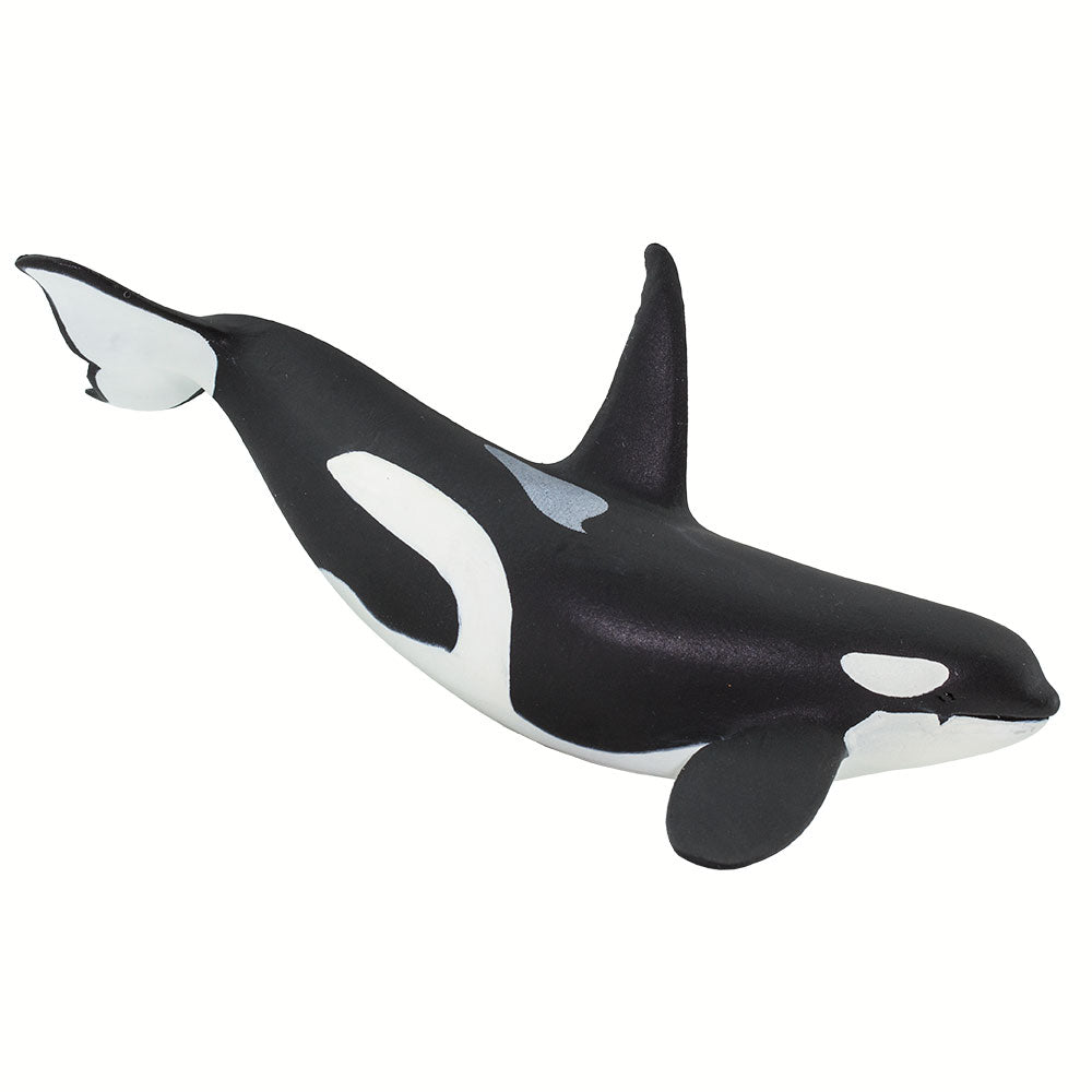 Small Orca