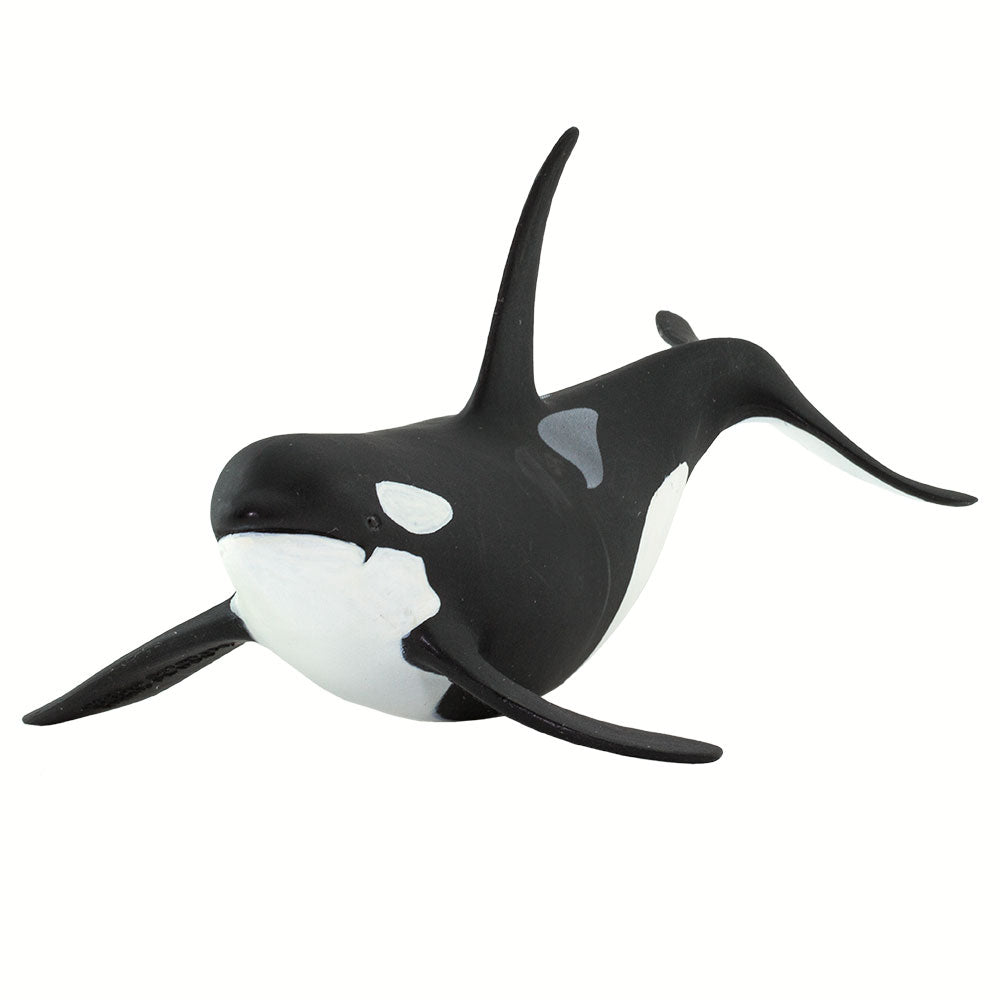 Small Orca