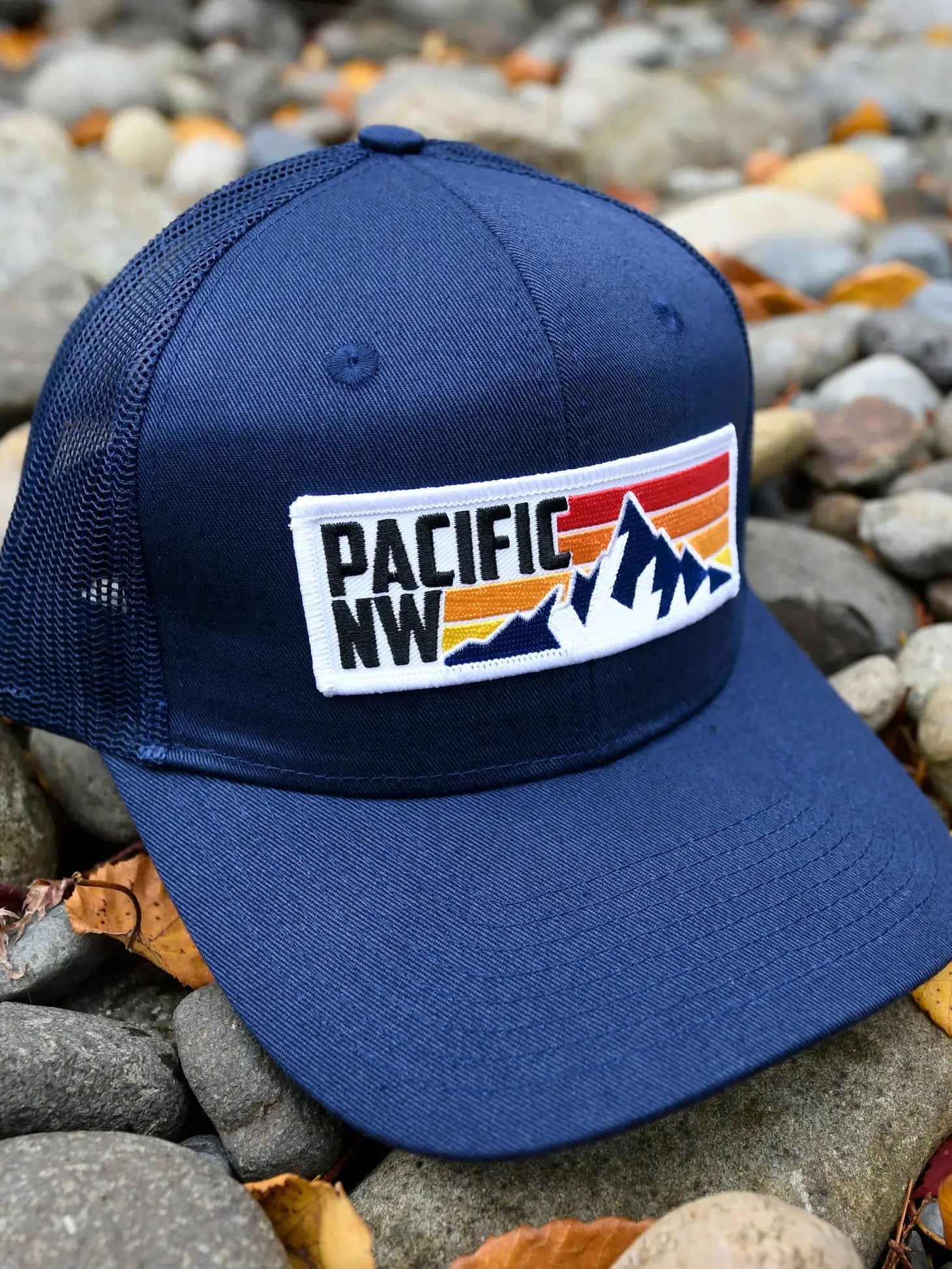 Pacific NW Stripes Hat