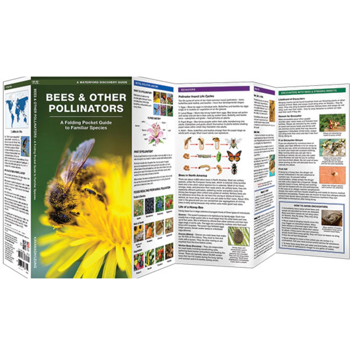 Bees & Other Pollinators