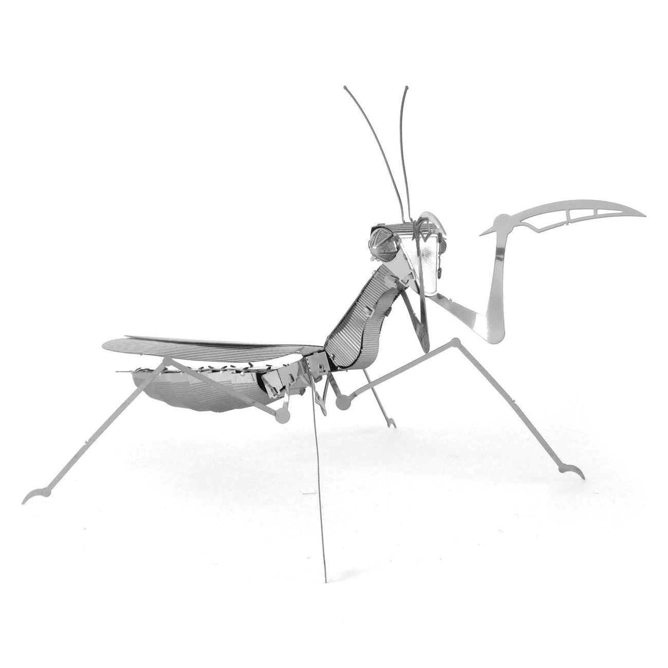 Praying Mantis Model