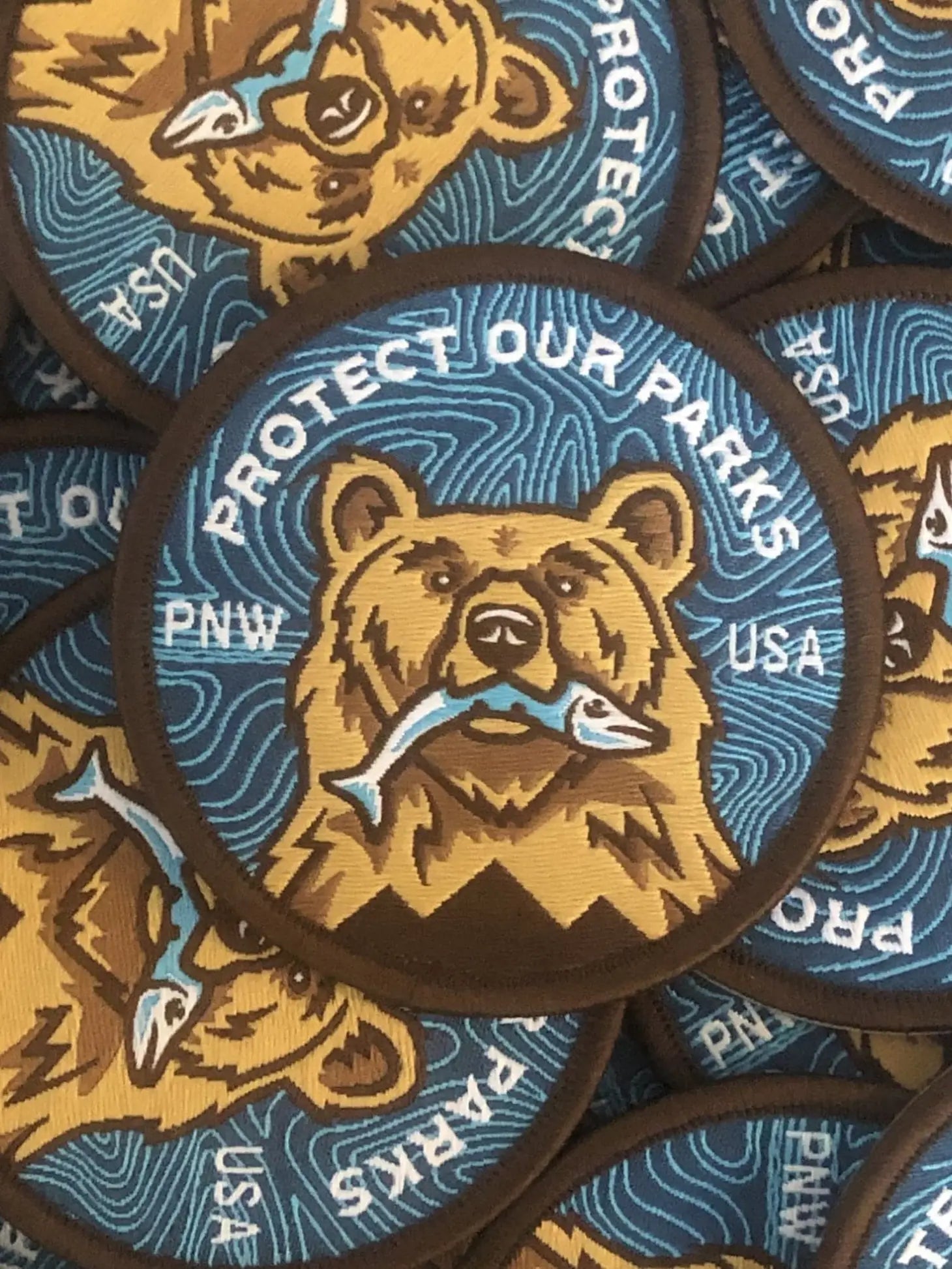 Protect Our Parks Bear Patch