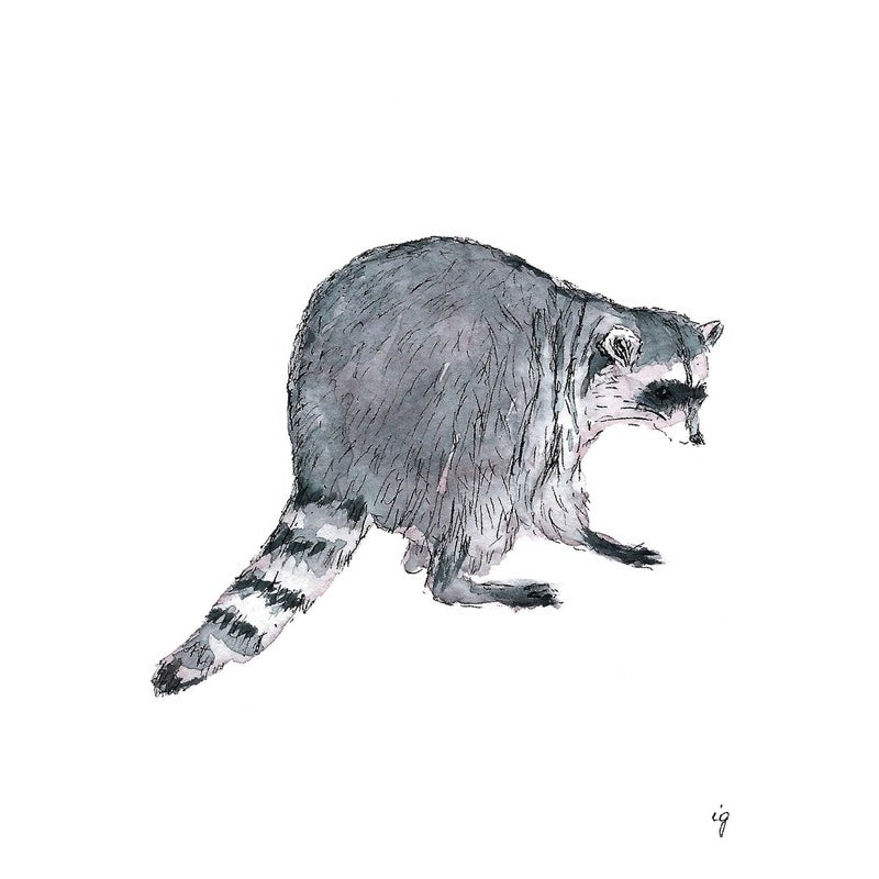 Raccoon Greeting Card