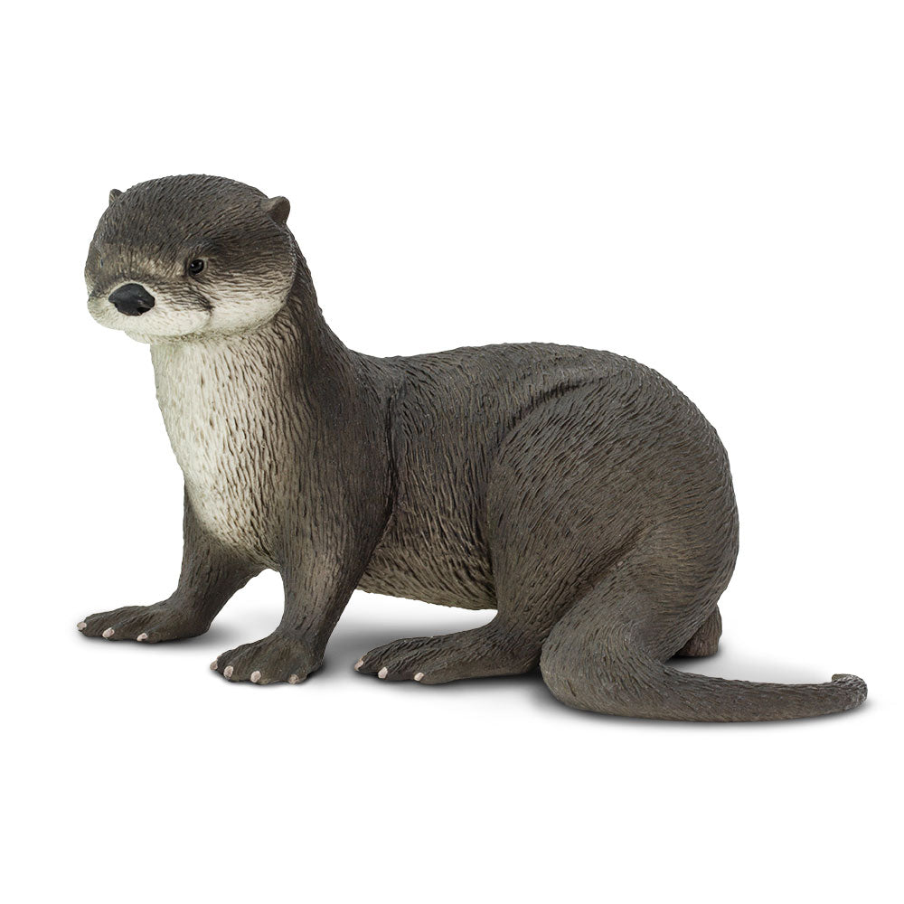 (Pre Order) Otter