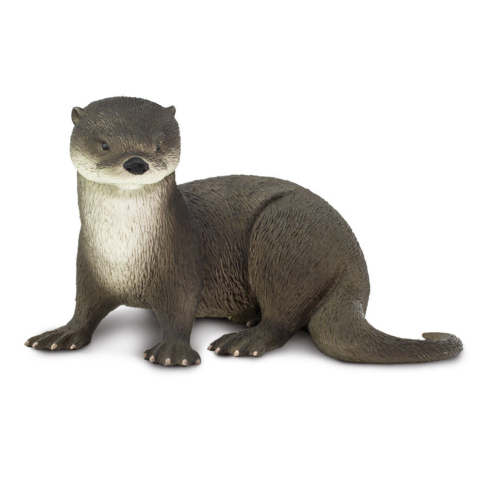 (Pre Order) Otter