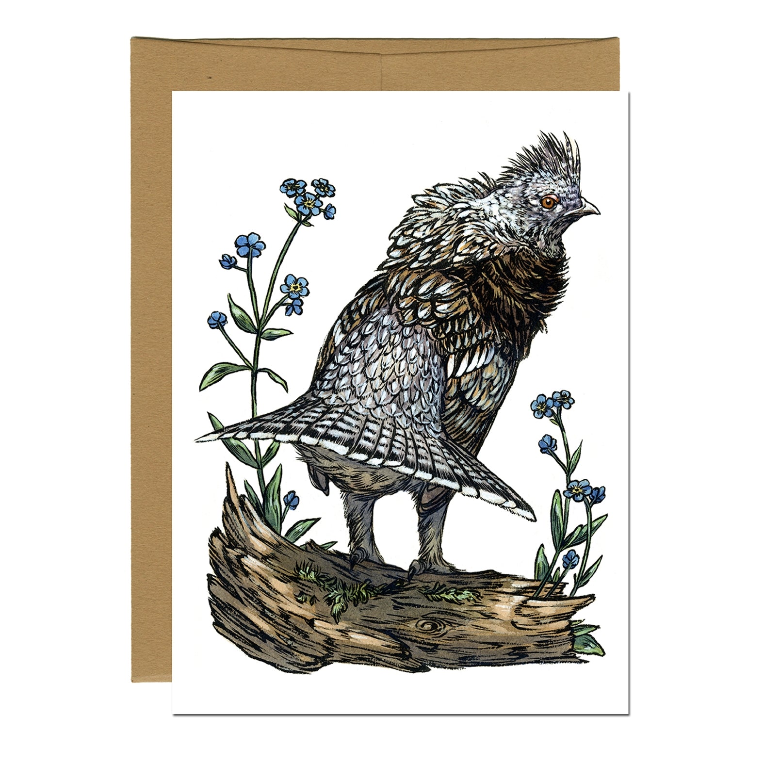 Ruffed Grouse Greeting Card