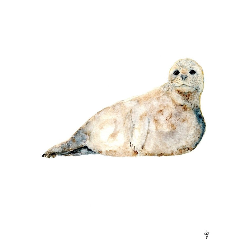 Seal Greeting Card