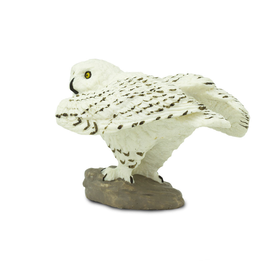 (Pre Order) Snowy Owl