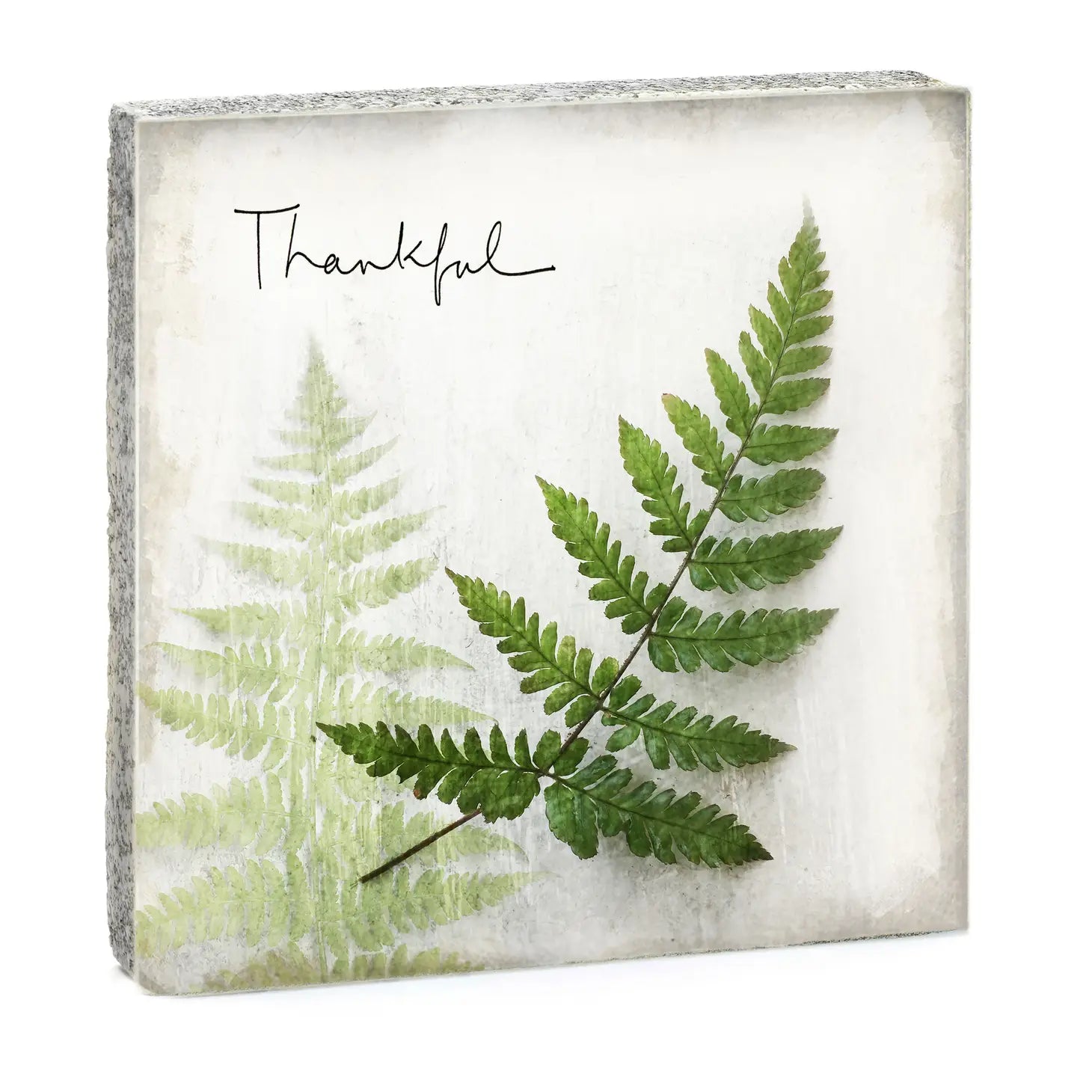 Thankful Fern Art Block