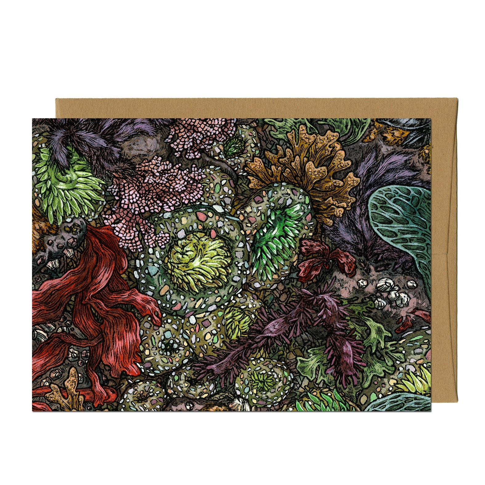 Tidepool Greeting Card