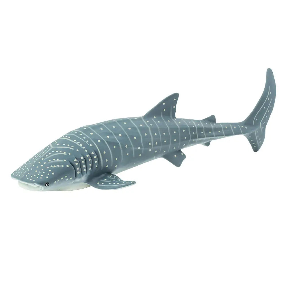 Whale Shark