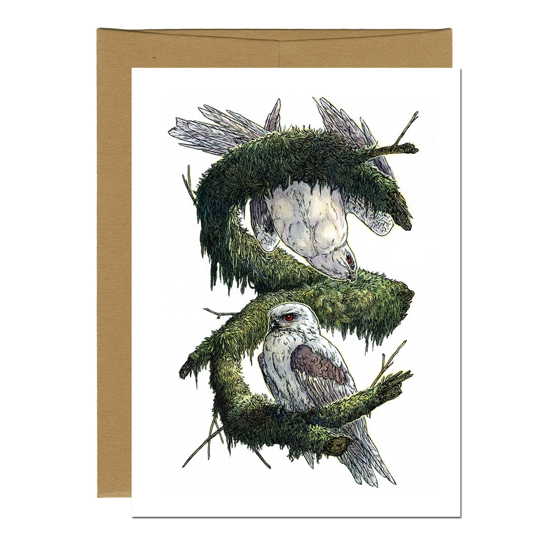 White Tailed Kites Greeting Card