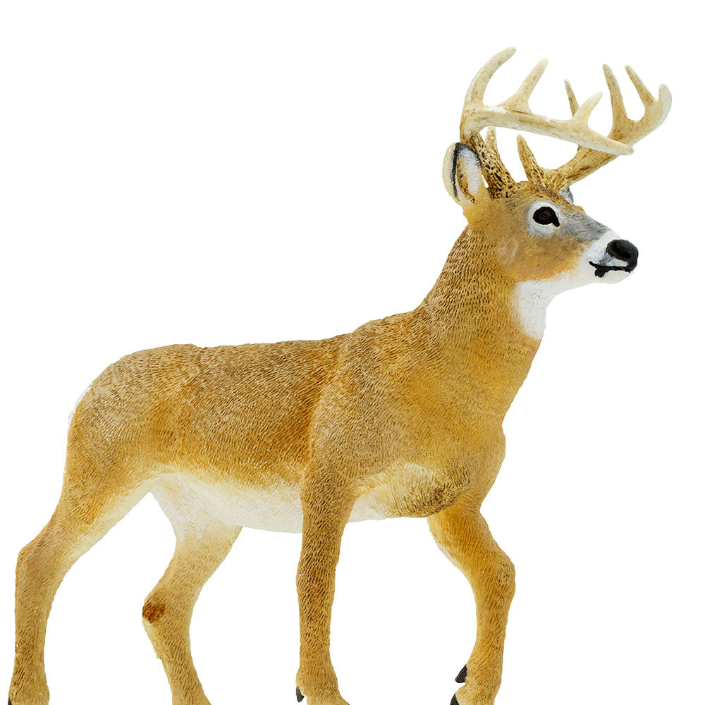 Whitetail Buck