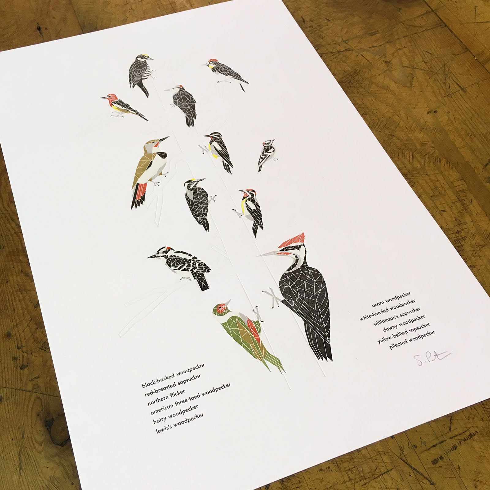 12" x 18" A Few Woodpeckers Letterpress Print