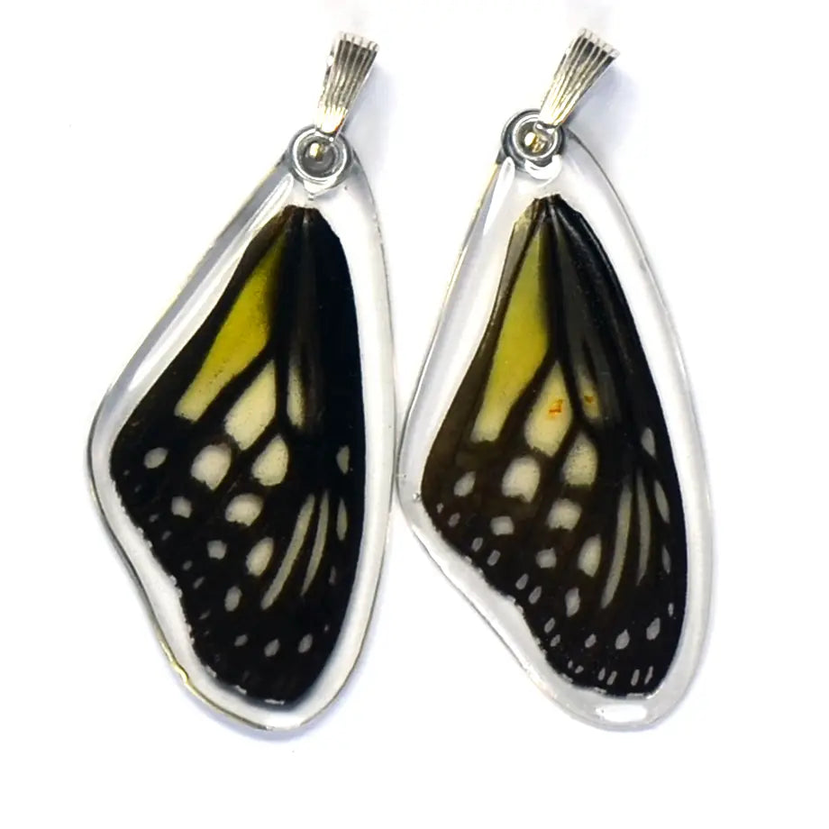 Danaus Aspasia Yellow Glassy Tiger Butterfly Earrings