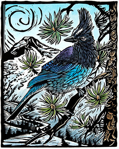 Stellar Jay: Another World Card