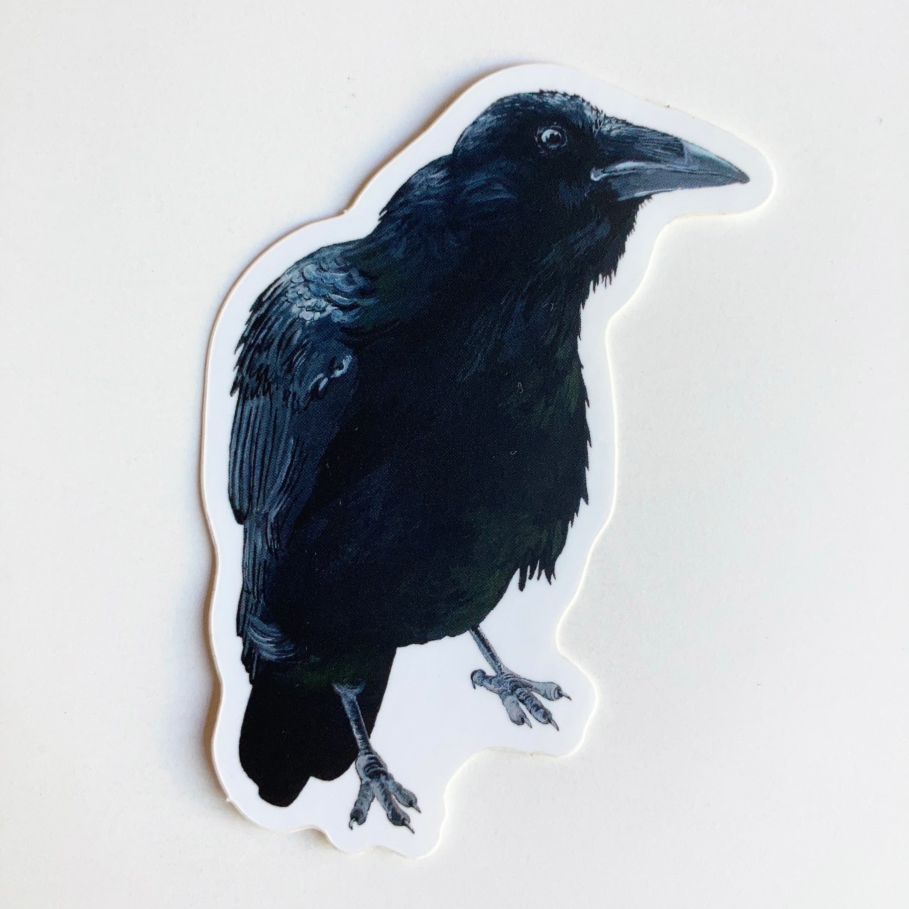 Raven Sticker