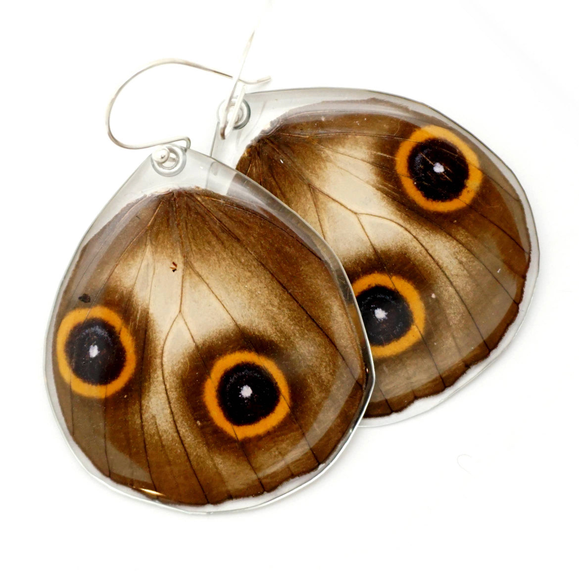 Urania Ripheus Suset Moth Earrings