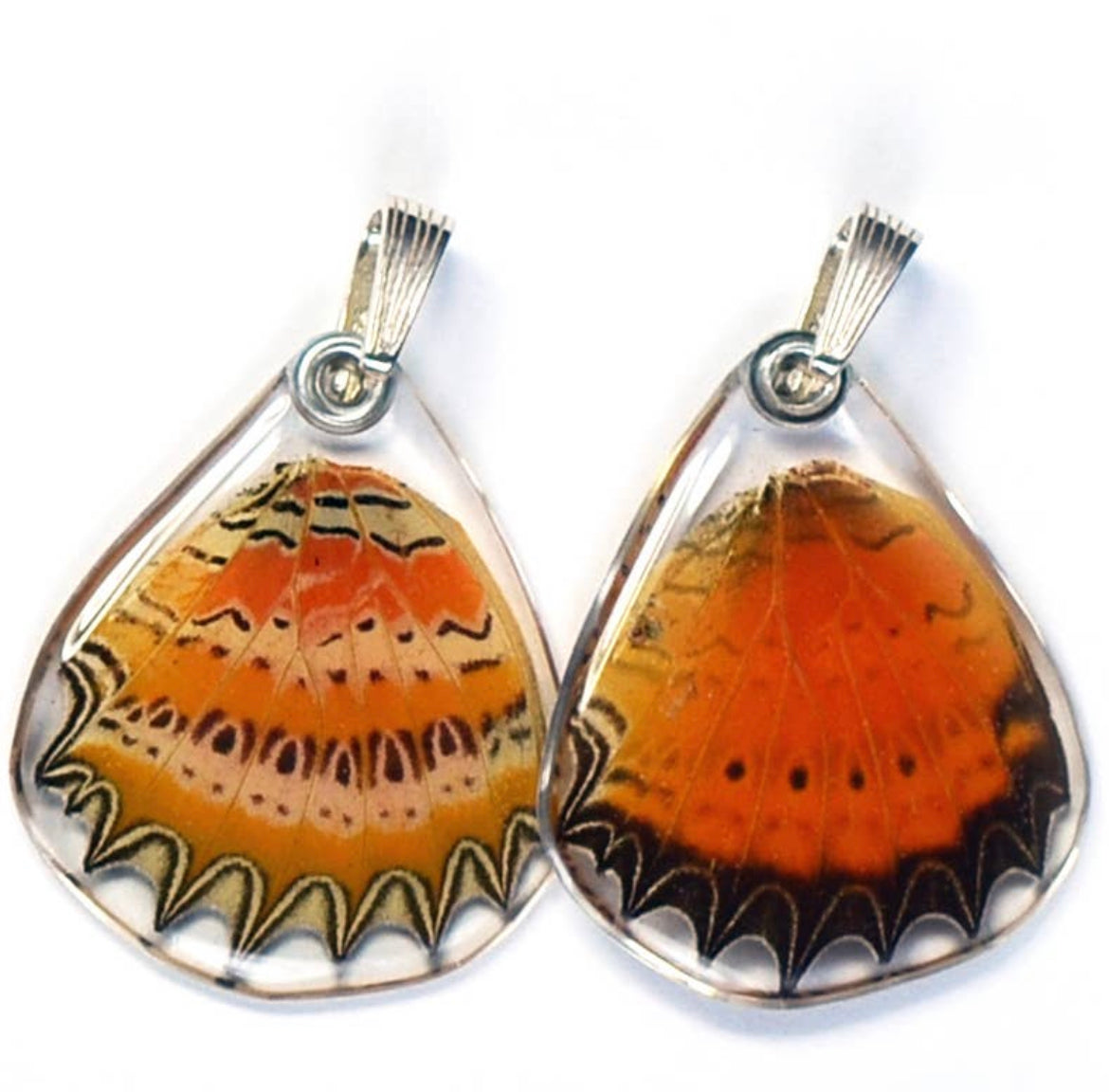 Cethosia Biblis Butterfly Earrings