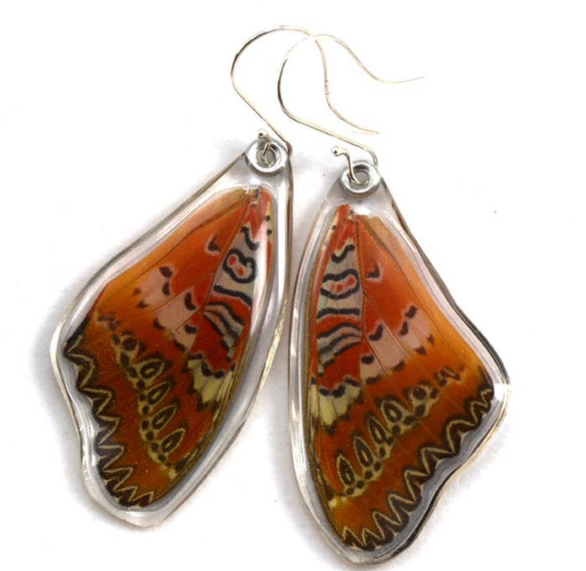 Cethosia Biblis Butterfly Earrings